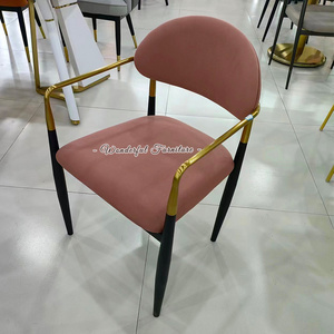 Wholesale Nordic Dining Chair Studio Leisure Computer Chair Ergonomic Desk Iron Chair For Dining Room