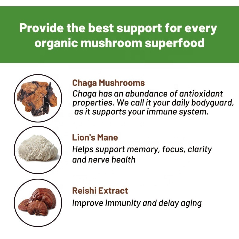 Customize Lion's mane chaga Mushroom coffee mix powder drink herbal mushroom coffee for organic