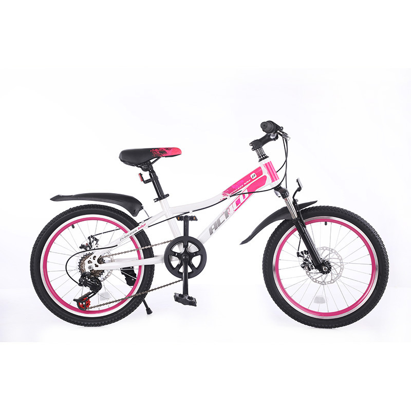 Hebei Children Bicycle New Model Fat Tire Bicycle Children 20 Inch 6 speed  Kids Bike for Kids