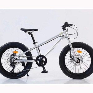 fat bicycle big tire bike children bicycle 12 year baby 29 inch mountain bike