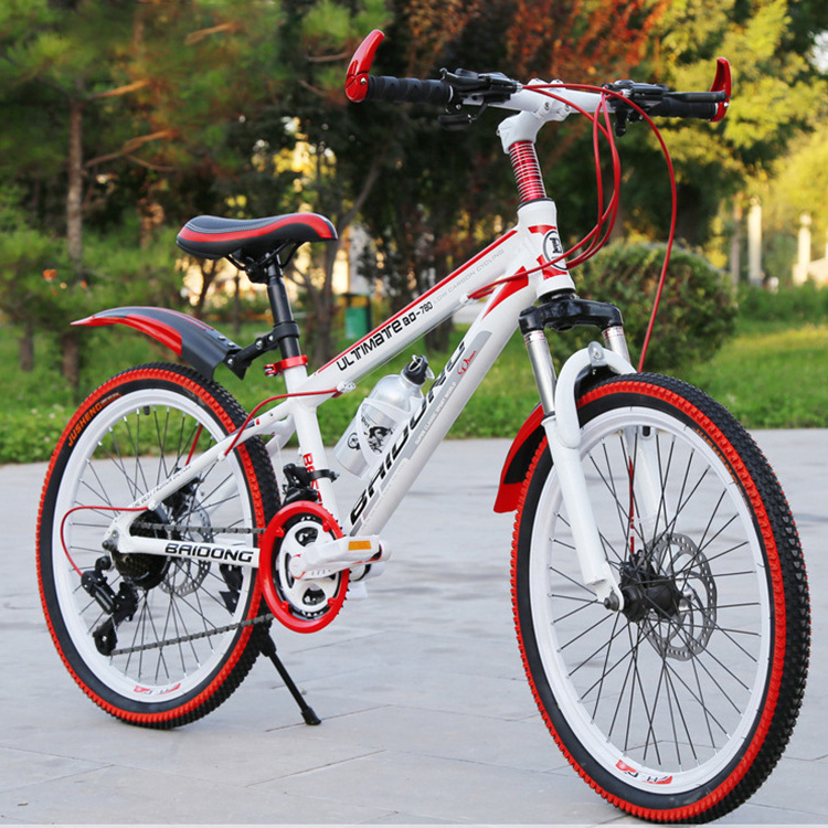 WQL Made In China With High Quality Guarantee Adult Men'S New Style 24/26 inch Mountain Bike Bicicleta