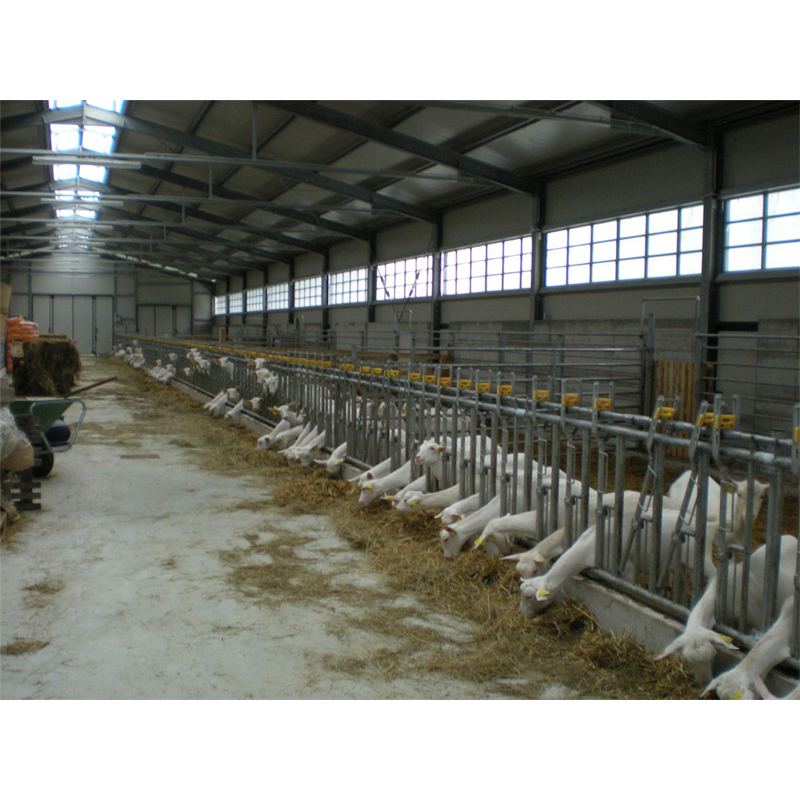 2022 hot sale Prefabricated Prefab Cattle Cow Goat Dairy farming Shed design