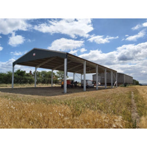 low cost cattle shed farm building dairy cattle farm shed