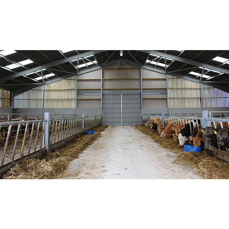 Prefabricated cow shed farm building sheep barn shed dairy cow shed with low cost