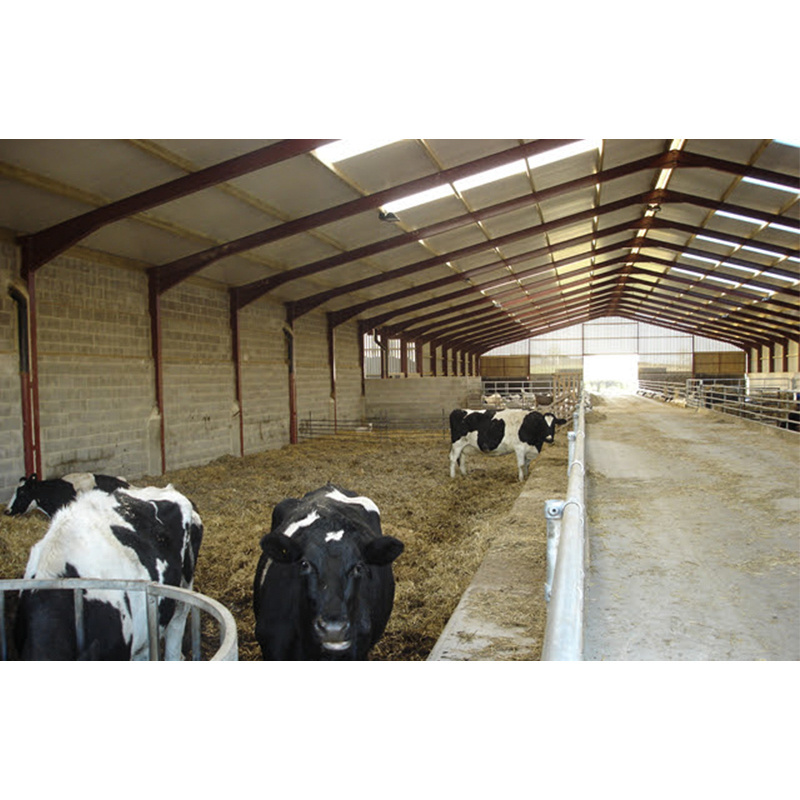 Prefabricated cow shed farm building sheep barn shed dairy cow shed with low cost