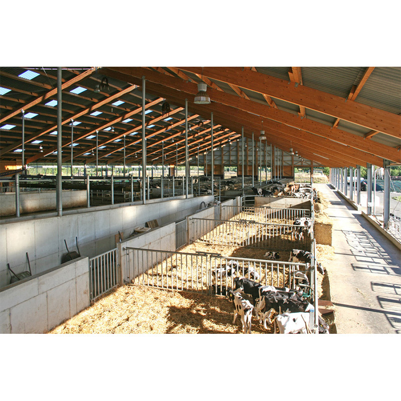 Prefabricated cow shed farm building sheep barn shed dairy cow shed with low cost