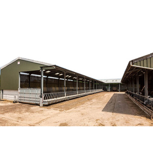 Prefabricated cow shed farm building sheep barn shed dairy cow shed with low cost