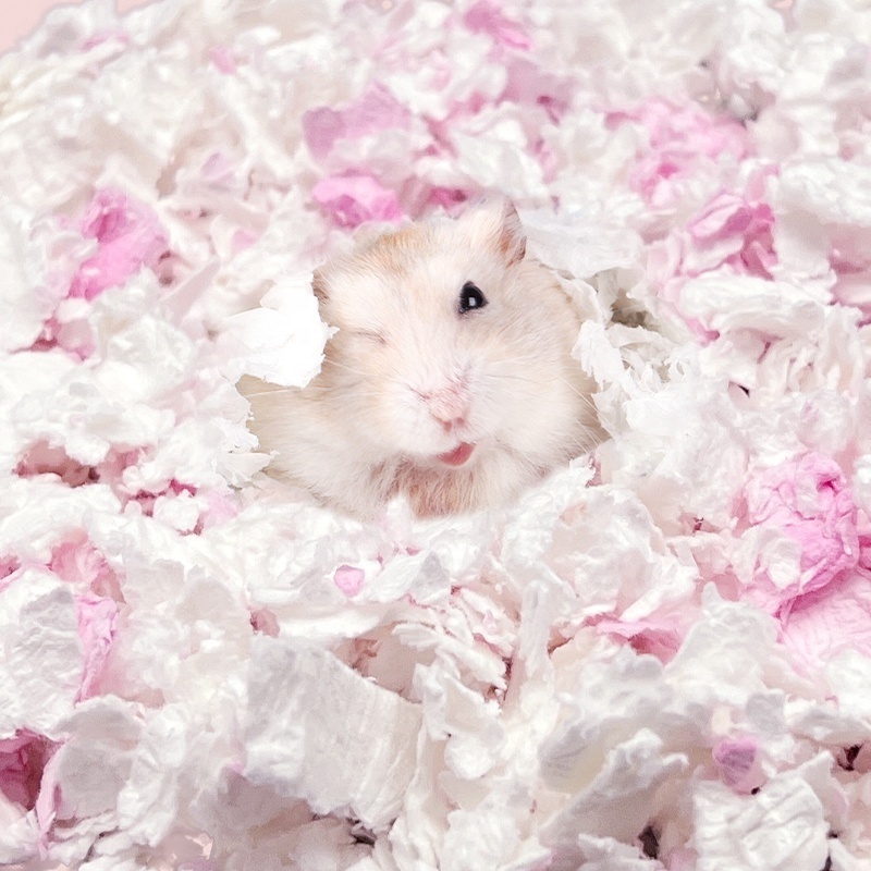 Recycled Small Pet Warm Paper Cotton Bedding Pellets Natural Paper Based Bedding Hamster Bedding Paper