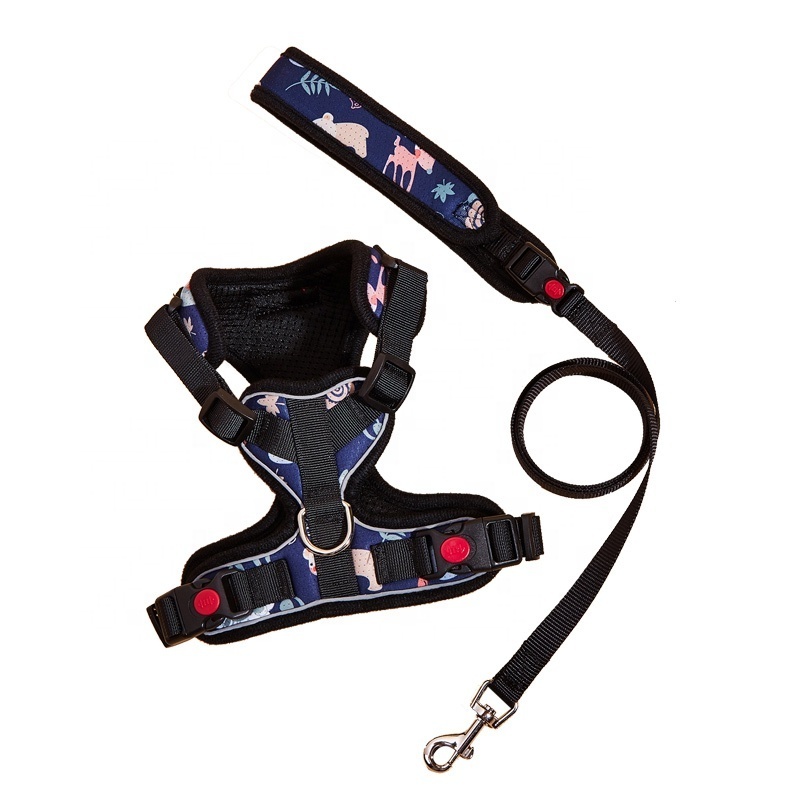 Popular comfortable lovely outdoor luxury floral dog harness set accessories small dog harness