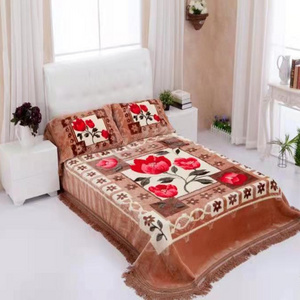 Super Silky Soft Mink Blanket Micro Factory Customized Wholesale Raschel Throw Blanket