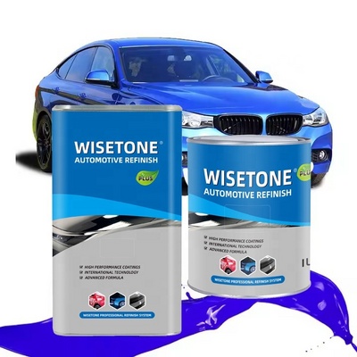 Washinta Brand Car Paint Interior Exterior Spray Coating Paint