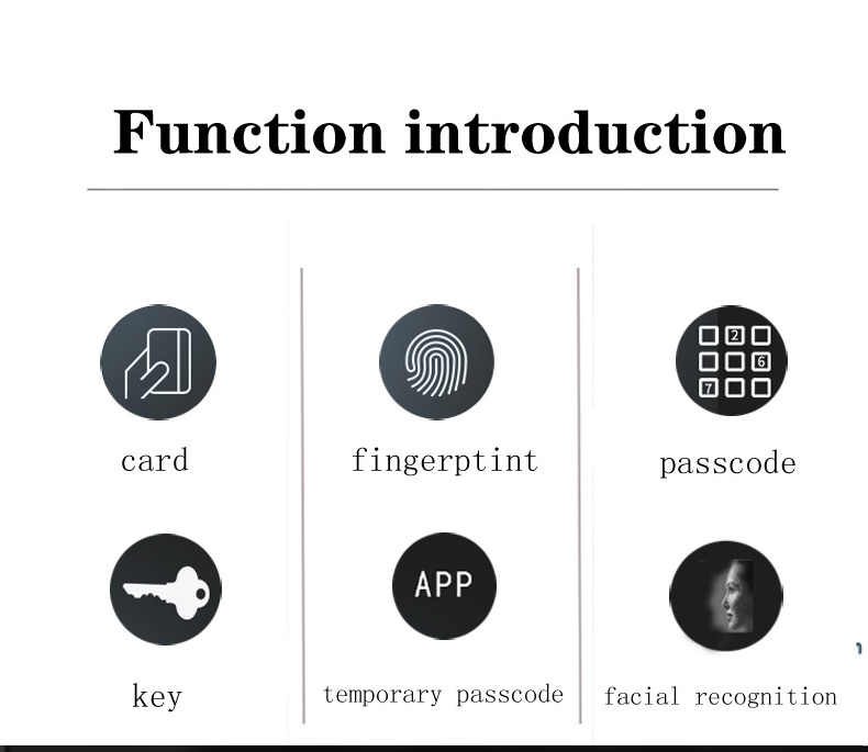 Eiysie automatic digital face id screen camera recognition intelligent app wifi smart face door lock Fingerprint gate Smart Lock