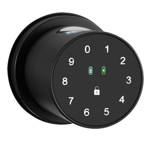 EIYISIE Bedroom Round Ball keyless electronic security door deadbolt mortice lock body latch Tuya app fingerprint smart knob loc