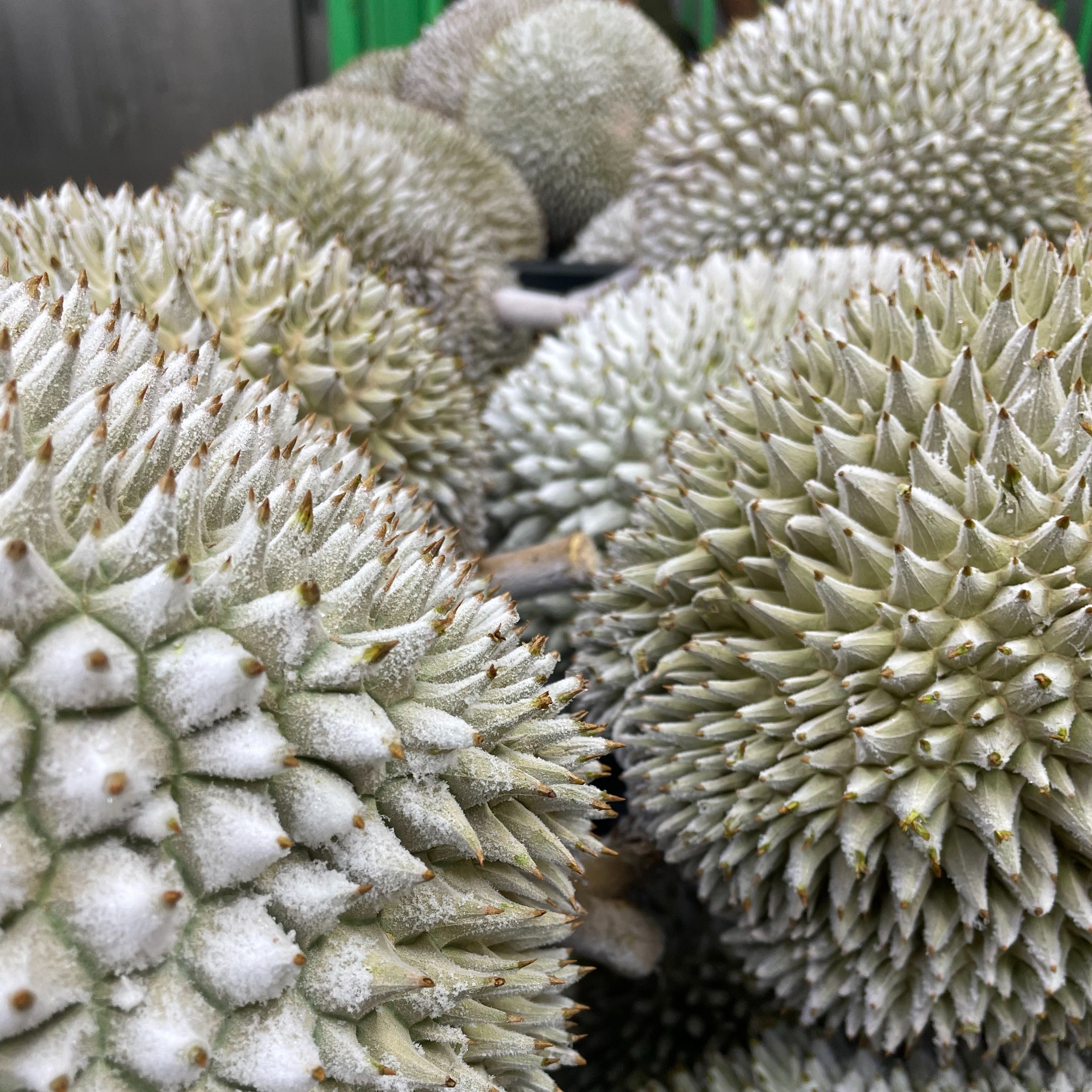 Latest Arrival Malaysia durian musang king frozen durian pulps frozen durian pulps tropical fruits freeze dried