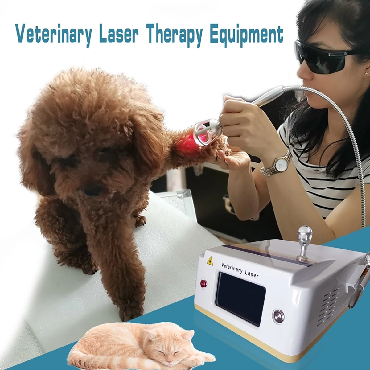 dog cat horse rabbit  810nm diode laser therapy machine pain relief veterinary laser therapy