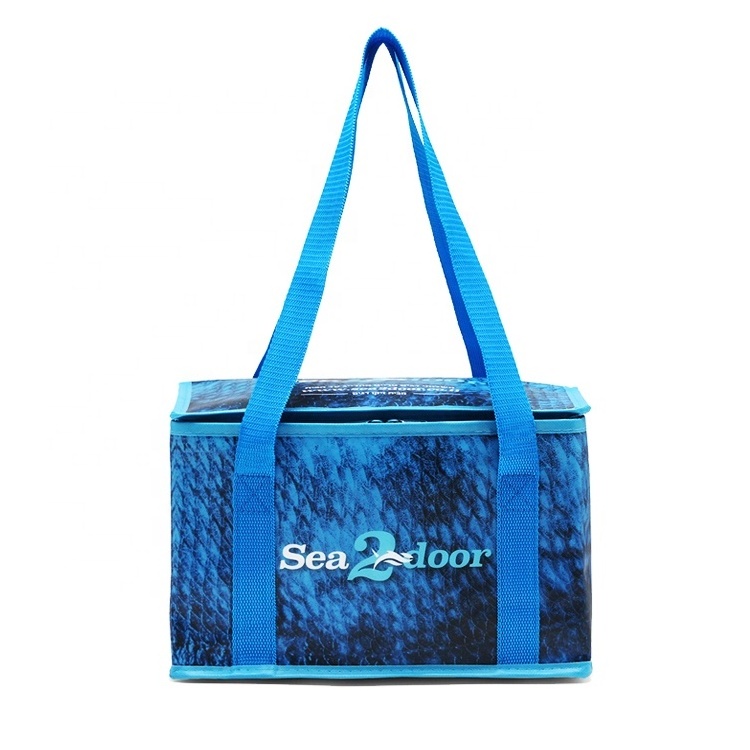 Custom High Quality Large Insulated Bag Blue Fish Cooler Bag For Seafood