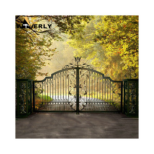 Custom Ornaments Modern Simple Designs Boundary Wall Exterior Swing Gate Double Door Wrought Iron Cast Iron Gate Design