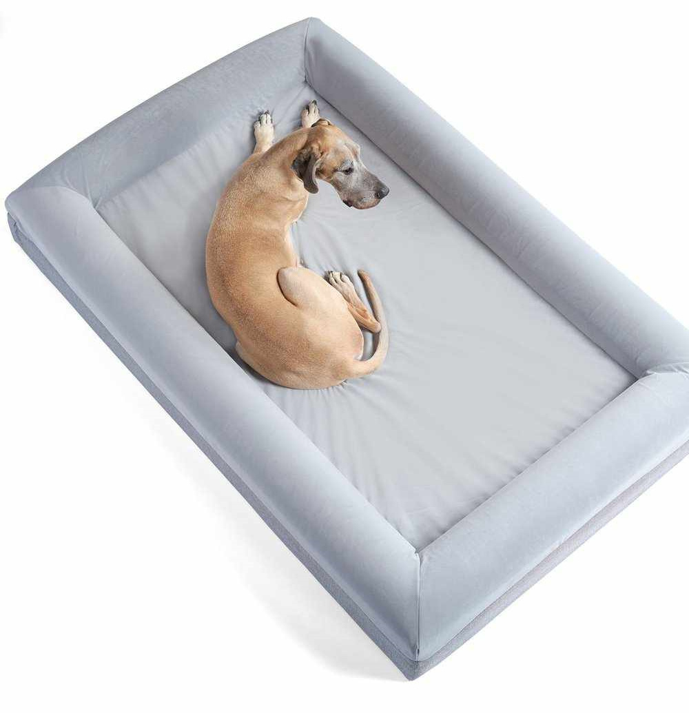 Quality Assurance XXL Orthopedic Memory Foam Waterproof Dog Bed For Giant Dogs with Washable Removable Cover