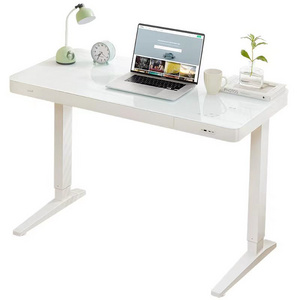 China Modern Furniture Executive Electric Height Adjustable Standing Home Design Computer Office Desk