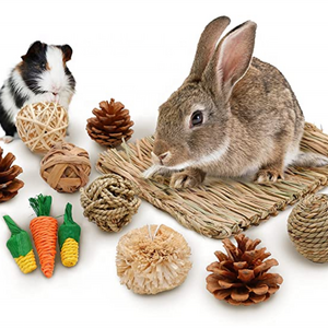 Rabbit Bunny Chew Toys Woven Mat Guinea Pig Chinchilla Squirrel Hamster Cat Dog Small Animal straw mat