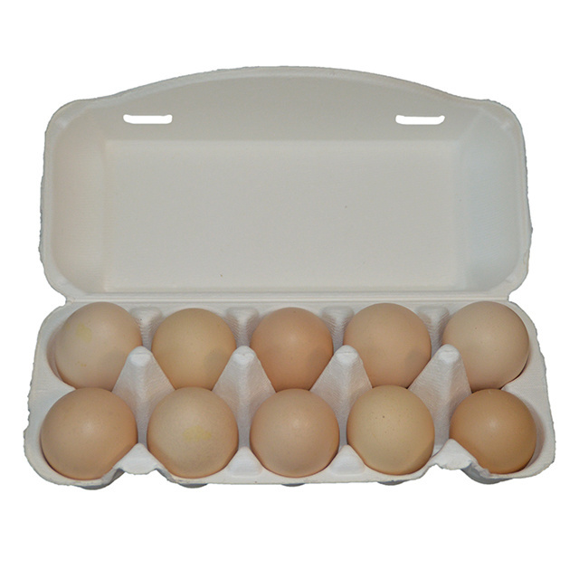 10 Holes Biodegradable Packaging Carton Chicken Goose Duck Eggs Packaging Boxes Carton Tray Chicken Egg Tray Carton