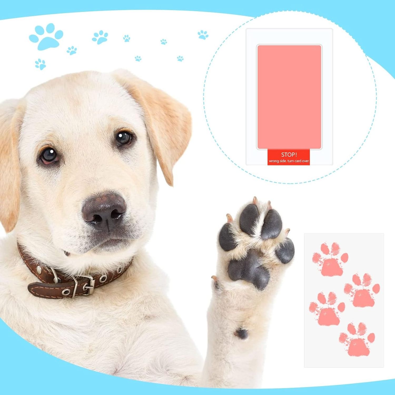 2024 Factory Price Imprint Hand And Foot Stamp Clean Dog Finger Ink Pad Essentials For Baby Dogs Paw Print Stamp