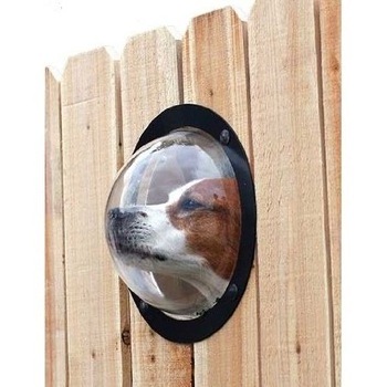 Acrylic Half Round Dog Fence Window to View Outside for Satisfying Curious Pets