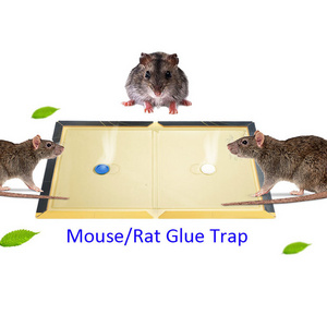 Super Sticky Low Price Custom Household Rat Glue Traps Mouse KIller