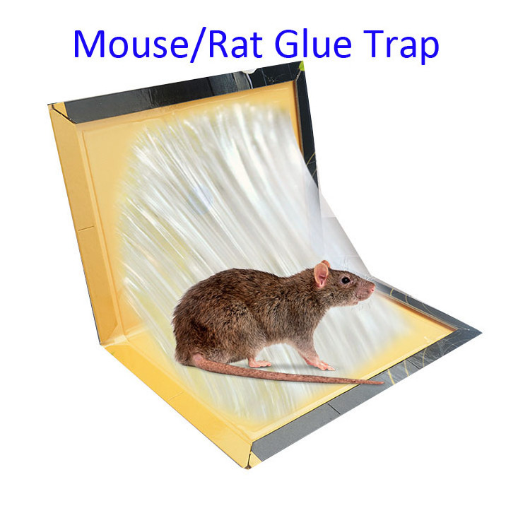 Super Sticky Low Price Custom Household Rat Glue Traps Mouse KIller