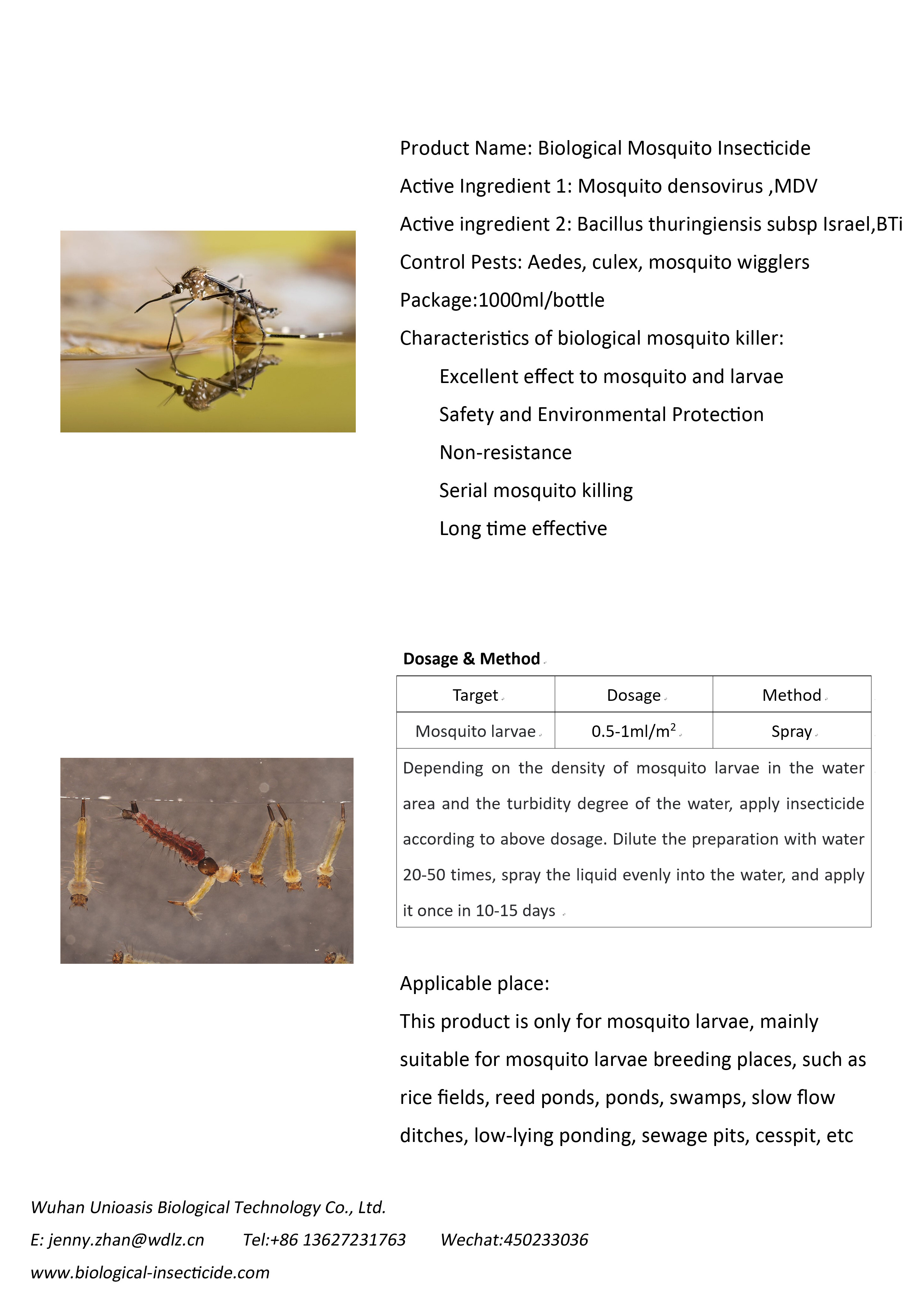 Aedes Culex Anopheles mosquito denso-like viruses insecticide mosquito larvae killer in ponds swamp MDV