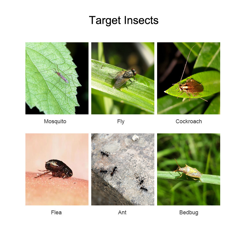 Pure botanical insecticide pyrethrin control kill summer mosquito flies efficient mosquito repellent system