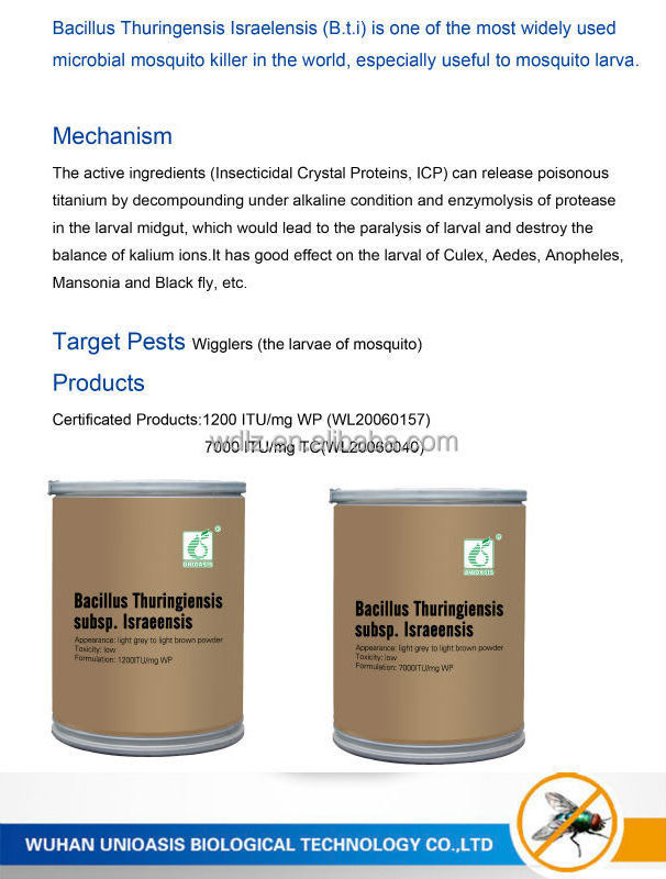 BTI kill larvae fast before mosquito hatch Insecticide larvicide