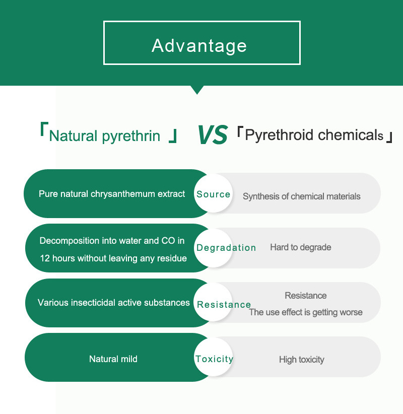 Safe Insecticide 1.5% Natural Pyrethrin Plant Extract Kill Urban Country Inside Insects