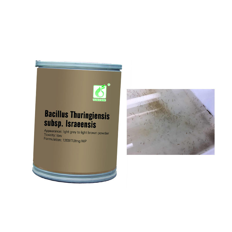 bio insecticide bacteria BTi subsp. Isralensis kill mosquitoes larva best insecticide control wriggler