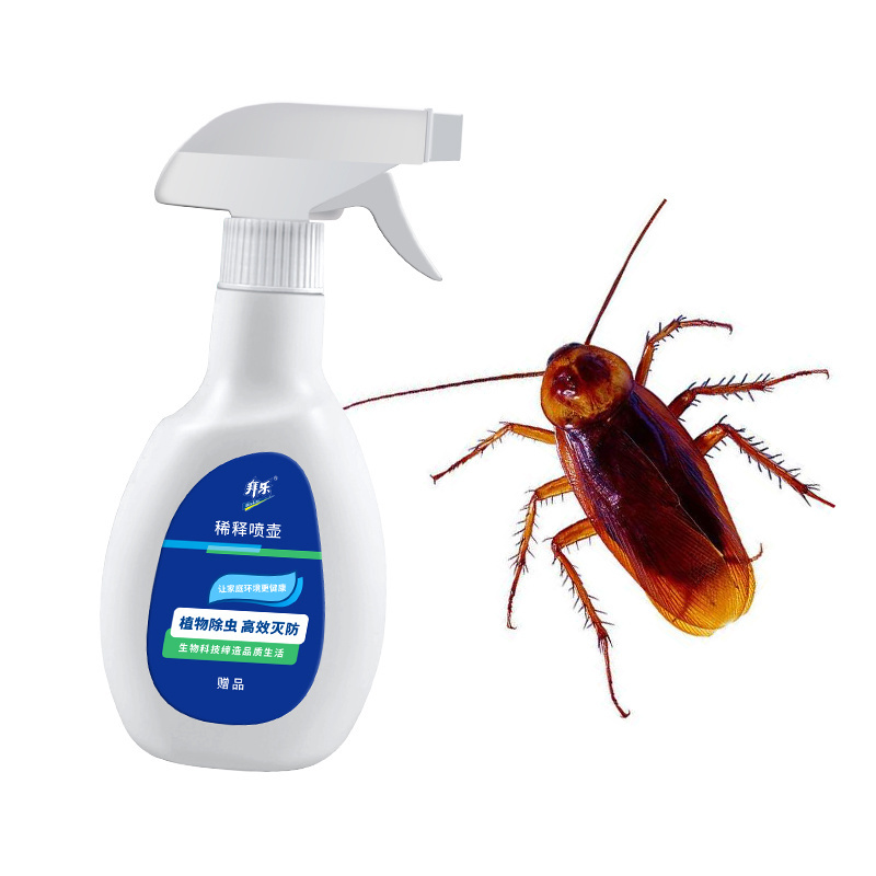 Gardening insects bug control 1.5% pyrethrin safest pollution-free natural insecticide