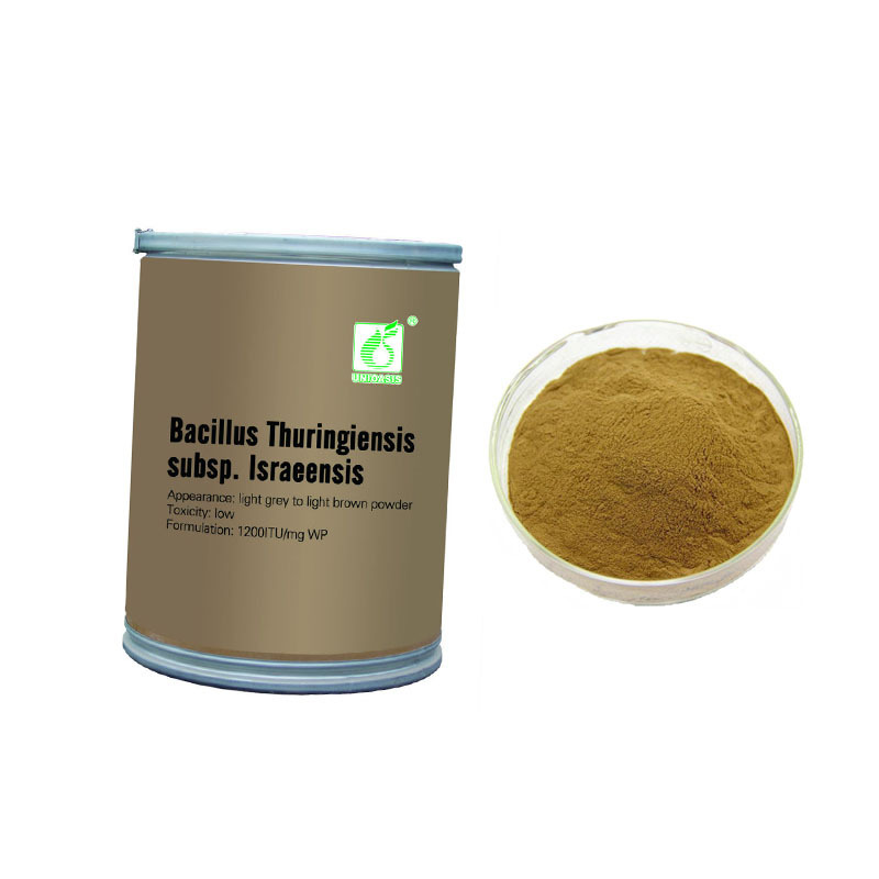 Widely used microbial insecticide Larvicide 1200ITU/mg Bacillus thuringiensis kill mosquito larvae