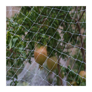 plastic netting manufacturer clear bird netting/Plastic Mesh hdpe Knitted bird nets for catching birds