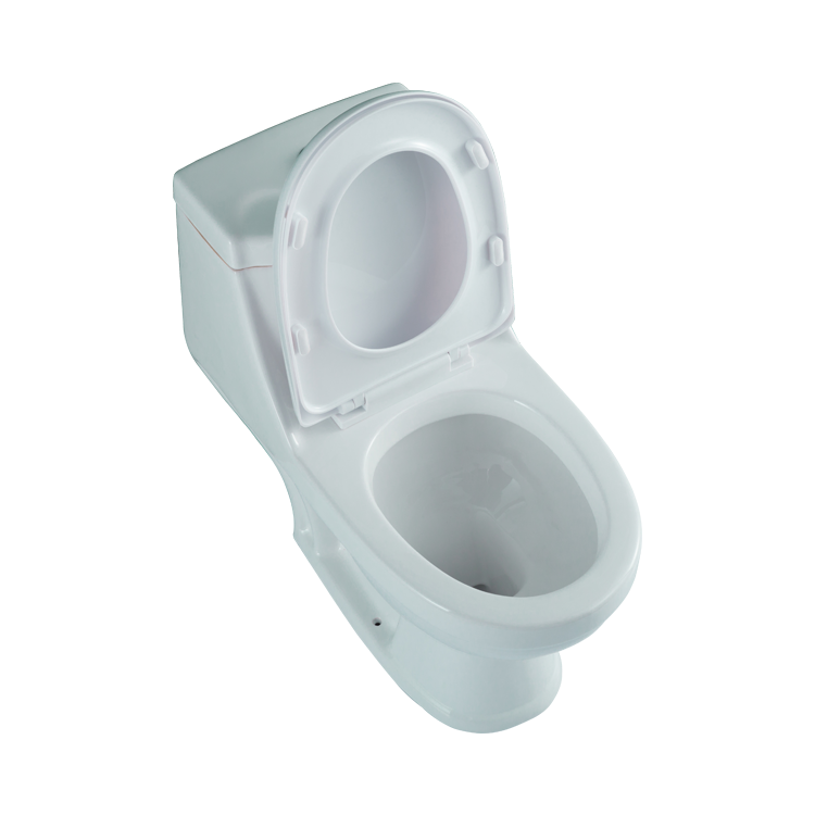 WDSI hot sell luxury one piece peeping chinese toilet,chinese girl wc toilet bowl,bathroom spy wc peeping chinese toilet