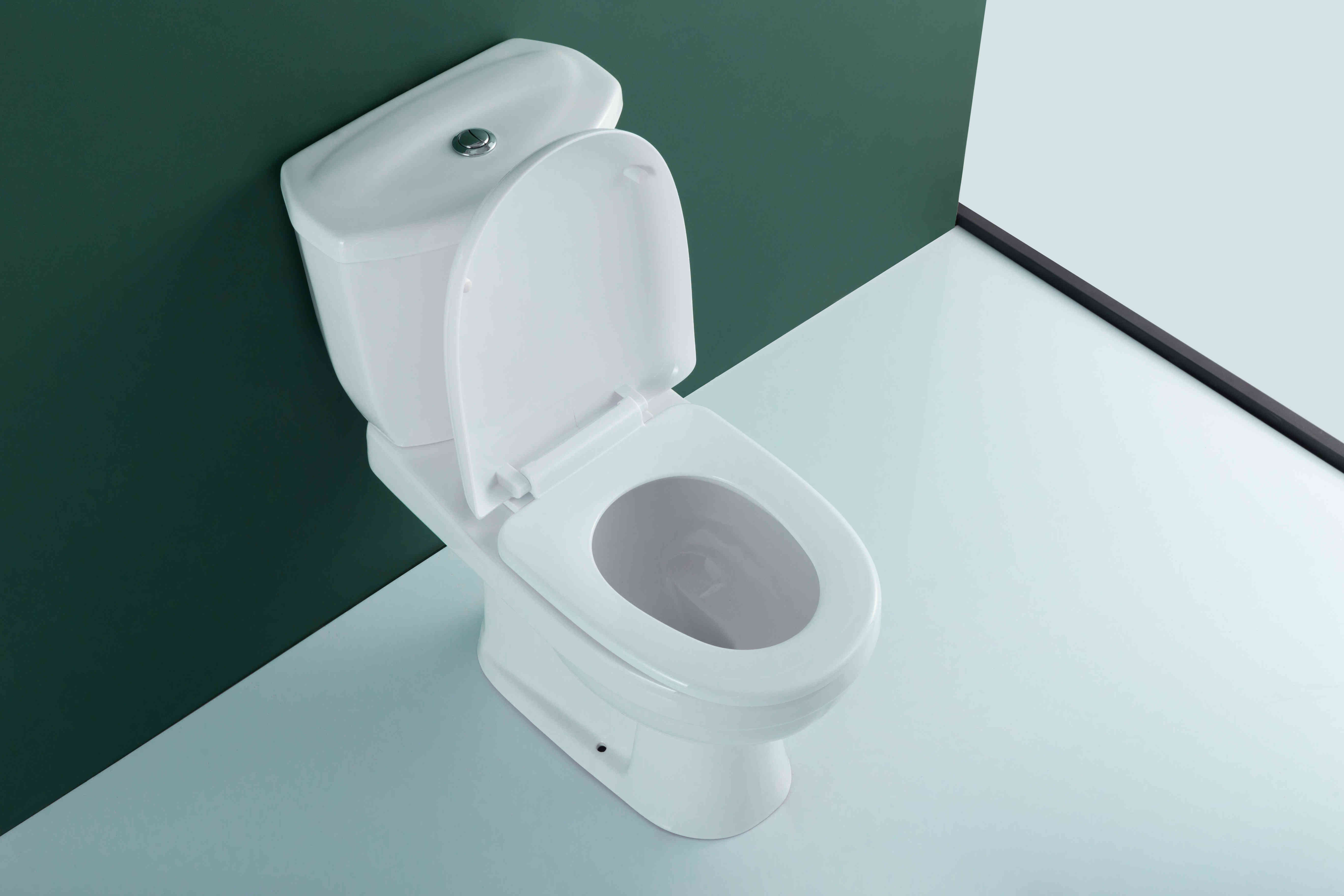 WDSI Modern Washdown Bathroom Mounted Toilet Large Diameter Ghana Wc Toilet For Sale Ceramic Africa Wc Two Piece Toilet