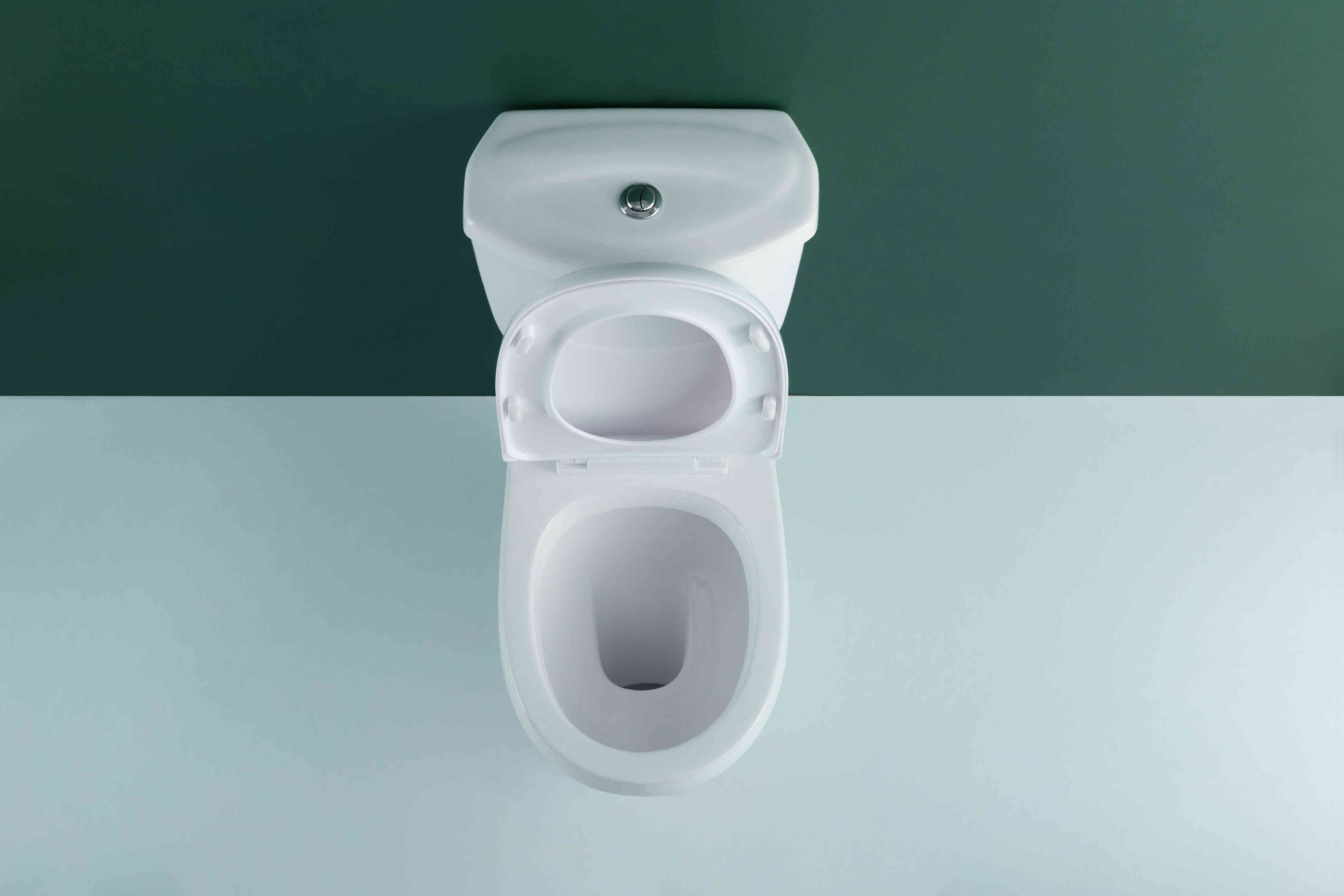 WDSI Modern Washdown Bathroom Mounted Toilet Large Diameter Ghana Wc Toilet For Sale Ceramic Africa Wc Two Piece Toilet