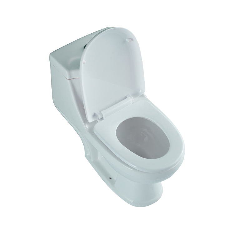 WDSI hot sell luxury one piece peeping chinese toilet,chinese girl wc toilet bowl,bathroom spy wc peeping chinese toilet