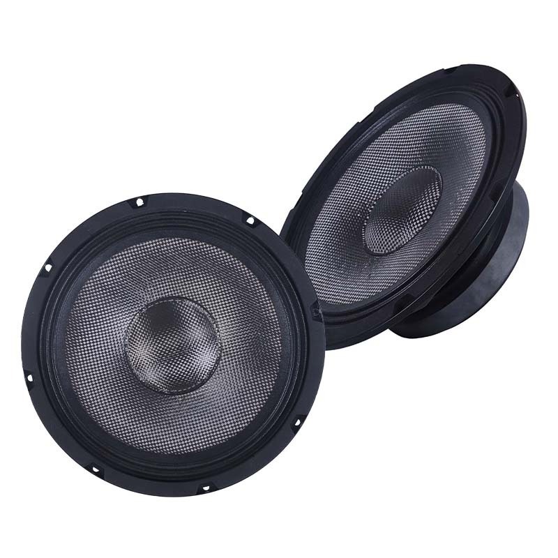 WODIYA 10 Inch Midbass Car Speaker 300watt 156mm Magnet Mid Range Ceiling Stereo Car Subwoofers Speaker 1050-131 OEM