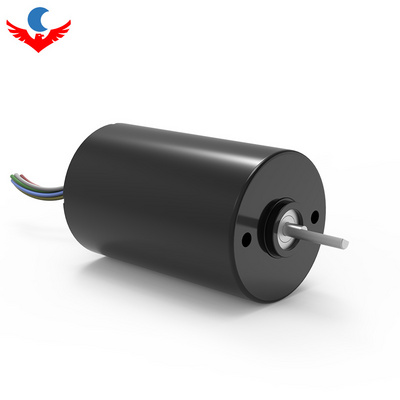 Factory Customization 12v Miniature Mute High torque and low Noise Fan water Pump DC Motor