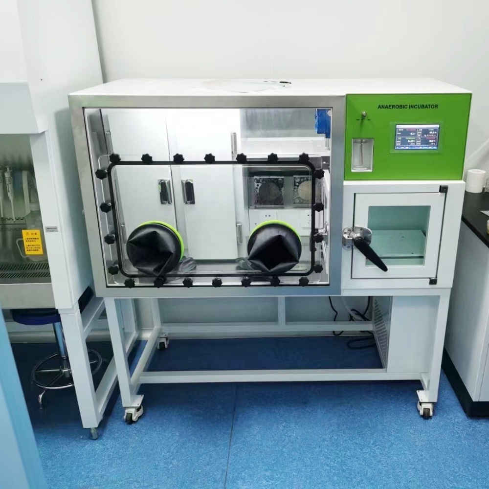 WEIAI Automatic Heating Vacuum Anaerobic Incubator 485L Chamber LAI-3T-N20 Laboratory dustproof research glove boxes