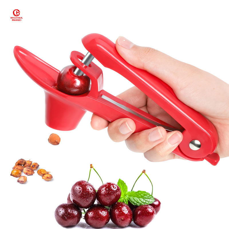 Vegetable Tool Kitchen Fruit Tools Stainless Steel Corers Cherry Pitter Manual Cherry Seeder for Fruit Olive