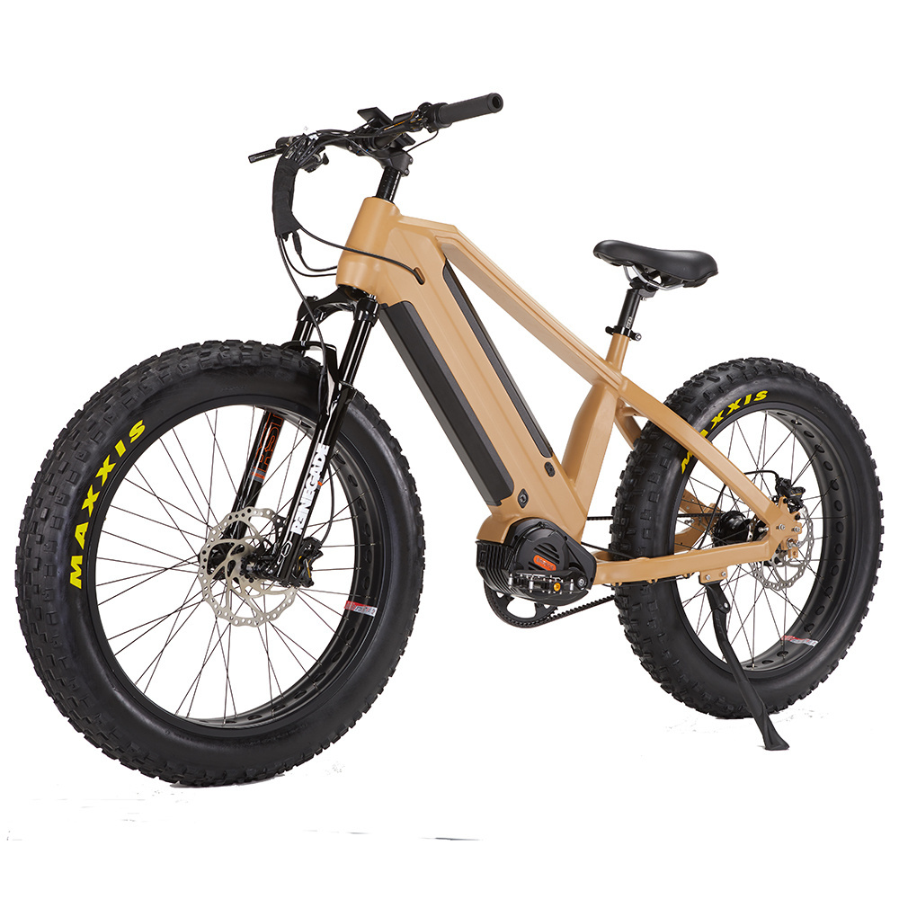 48v 1000w dual batteries and belt fat tire electric bike and electric mountain bike 26 inch