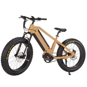 2020 new speed big power mountain ebike / fat tire electric bike / snow e-bike