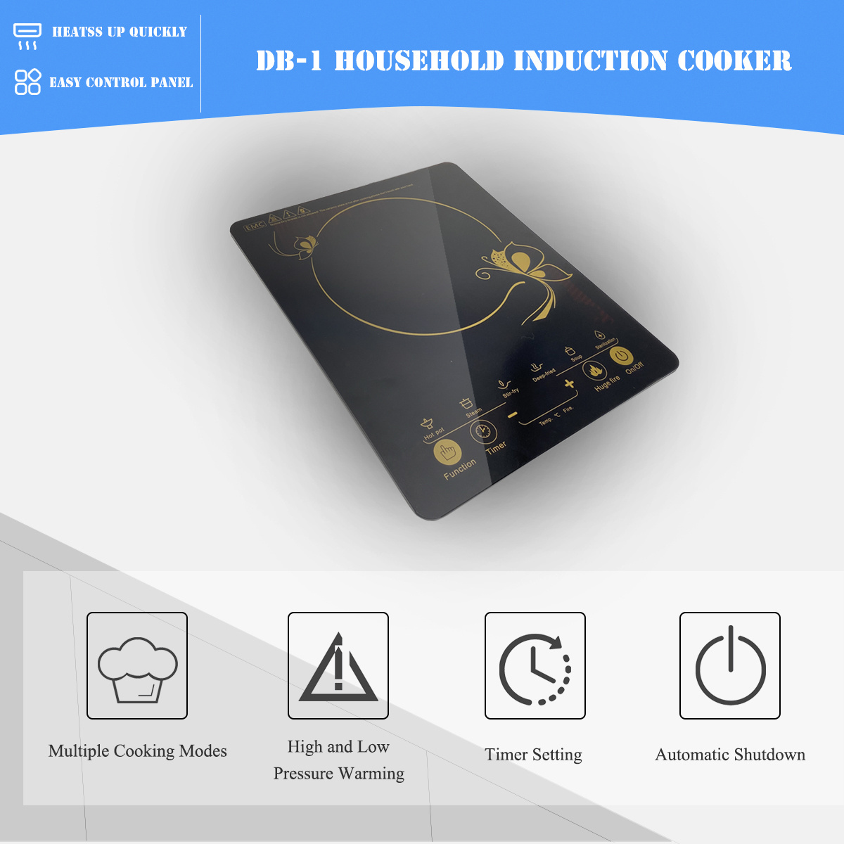 Original Factory Induction Cooker  AC Powered Induction Cooker 220V 2100W