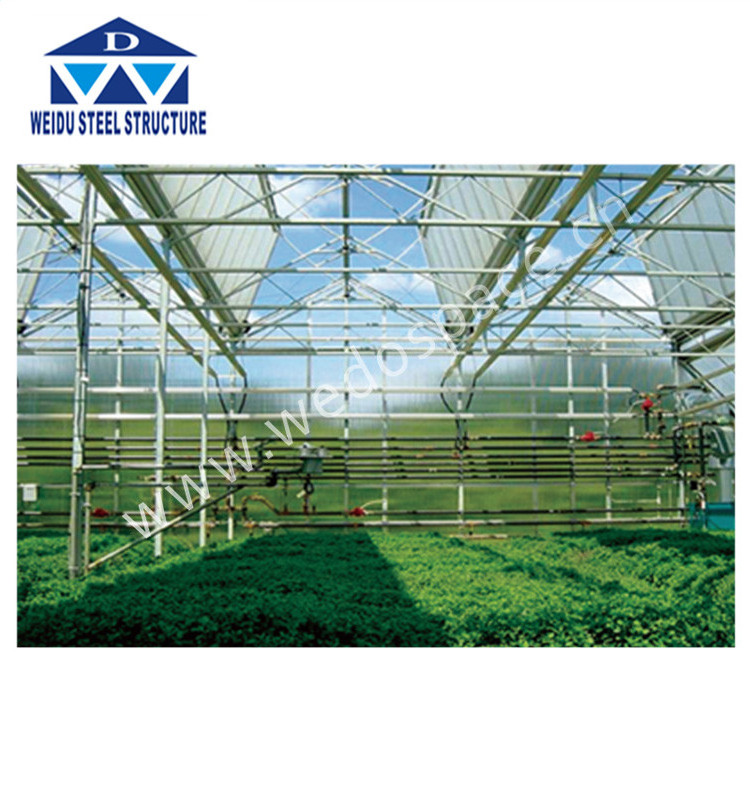 Used greenhouse sale tunnel greenhouse for sale galvanized steel frame greenhouse