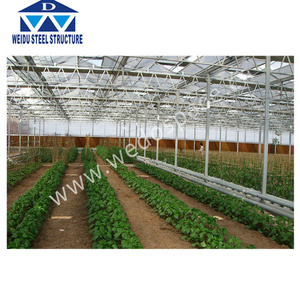 Used greenhouse sale tunnel greenhouse for sale galvanized steel frame greenhouse